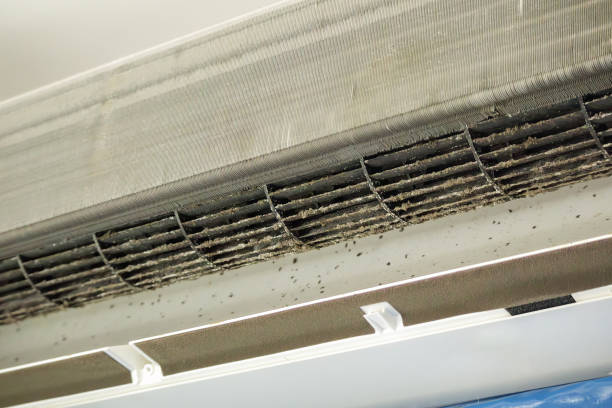 Best Commercial HVAC Duct Cleaning  in West Athens, CA